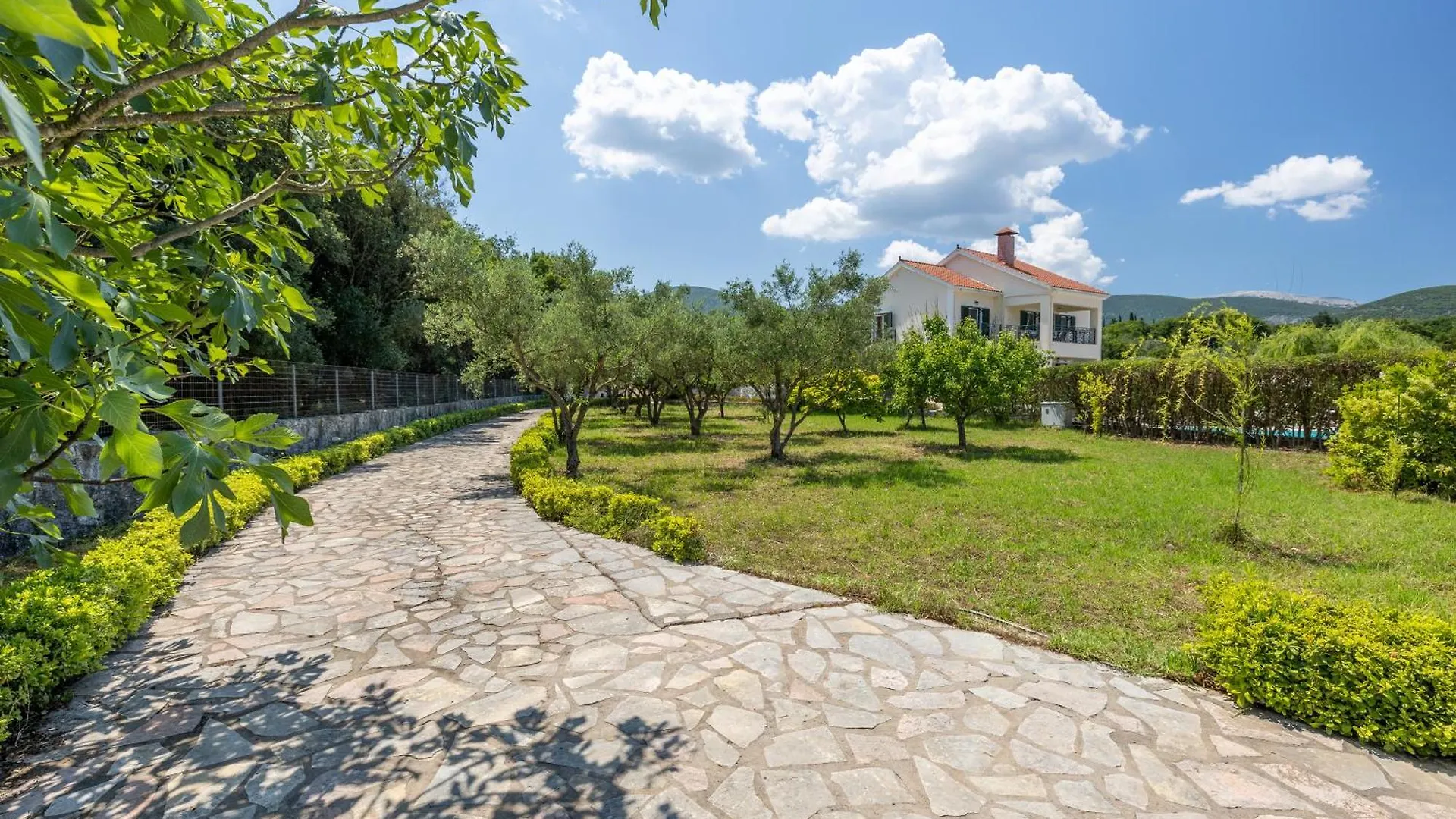 Arte Villa Nefeli Apartment Sami   Sami (Kefalonia)